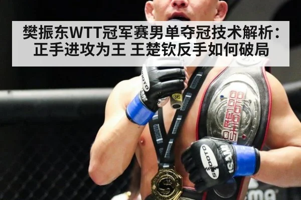 樊振东WTT冠军赛男单夺冠技术解析：正手进攻为王 王楚钦反手如何破局